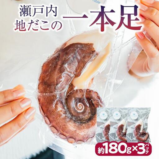 瀬戸内地だこの一本足