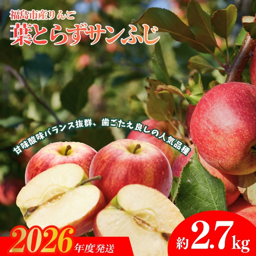 No.1924 ふくしまのりんご 葉取らずサンふじ 贈答用 約2.7kg[2026年度発送]