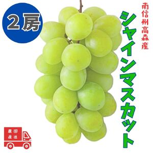 [南信州高森産]シャインマスカット 2房
