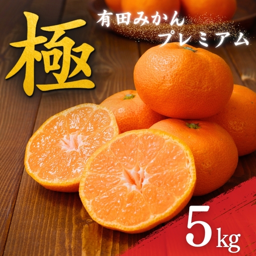 みかん 有田みかんプレミアム 約5kg 【nuk155G】