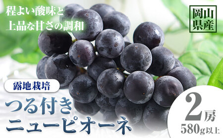 つる付きニューピオーネ 2房【配送不可地域あり】