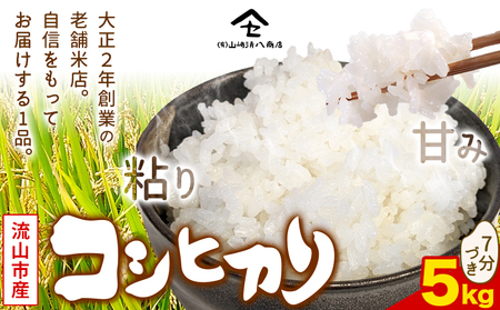 コシヒカリ 米 5kg  新川耕地 7分搗き