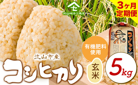 【毎月定期便3回】令和7年産 コシヒカリ 米 5kg《お申込み翌月から出荷》 有機肥料 玄米