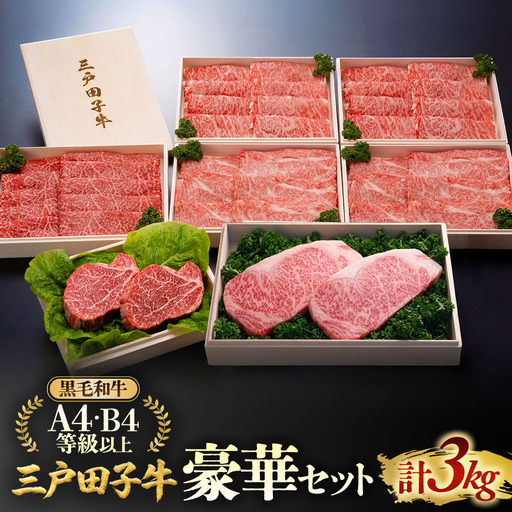 【大容量】国産和牛 豪華セット 3kg 黒毛和牛 「三戸・田子牛」