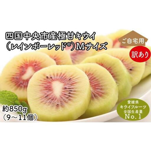 ＜10月下旬以降発送＞【ぽぽ農園】【訳あり・ご自宅用】レインボーレッドキウイ（四国中央市産レインボーレッド） M サイズ 約850g（9個～11個）