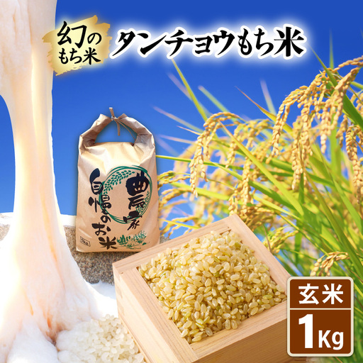 [先行予約]令和8年産 新米 幻のもち米 タンチョウ もち米 1kg(玄米)[10月中旬以降発送] [e35-a058]
