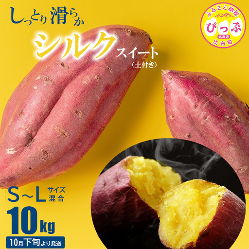 【10月下旬より発送】シルクスイート S～Lサイズ混合 10kg 【北川農園】 さつまいも サツマイモ 芋 熟成 産地直送 北海道 比布町 ぴっぷ 1022-001