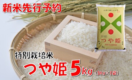 [令和8年産米 先行予約]山形県小国町産 つや姫5kg 小国米穀商業協同組合