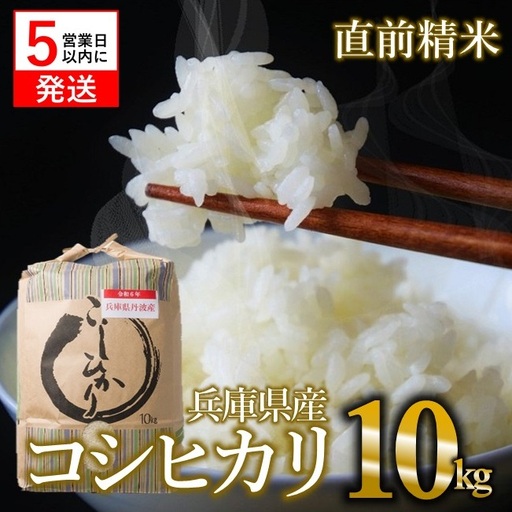 コシヒカリ 10kg 白米 令和７年産 精米 白米【スピード発送】