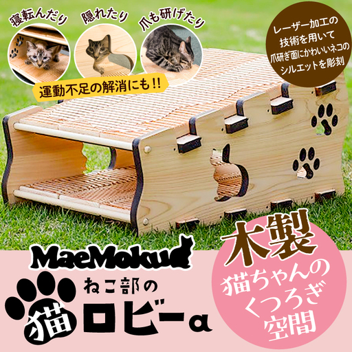 JJB-1.【2月22日は“猫の日” 】maemokuねこ部の「猫ロビーa」　