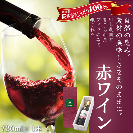 M-B27.【欧州系ぶどう100％】赤ワイン 720ml　 1本