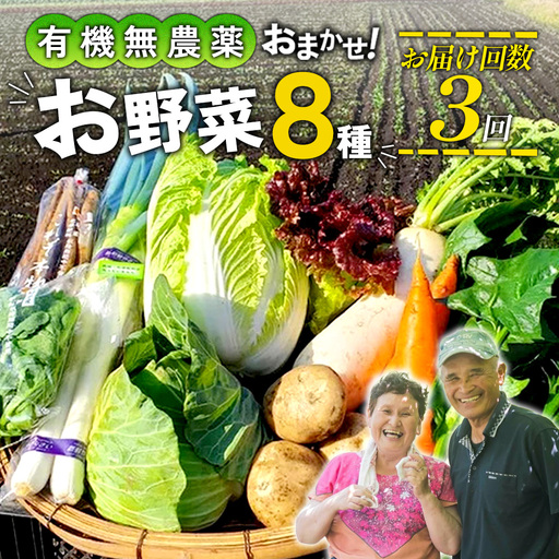 【3回定期便】特別栽培季節のお野菜セット 8品 野菜 無農薬 有機栽培 新鮮 やさい 旬 詰合せ 国産 宮崎県 九州 送料無料
