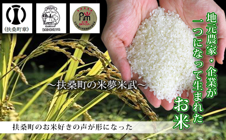 米 米夢米武 マイムマイム 五ツ星マイスター監修 米[10kg(5kg×2)]