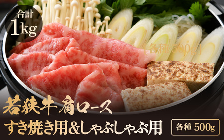 若狭牛 肩ロース しゃぶしゃぶ用&すき焼き用 計1kg(各種500g)[牛肉 黒毛和牛 黒毛和種 黒毛 和牛 国産 ロース 冷凍 小分け すき焼き グルメ 父の日 母の日 敬老の日 お中元 お歳暮 ギフト 誕生日 贈り物 プレゼント BBQ キャンプ飯 お取り寄せ ] [m15-f001]