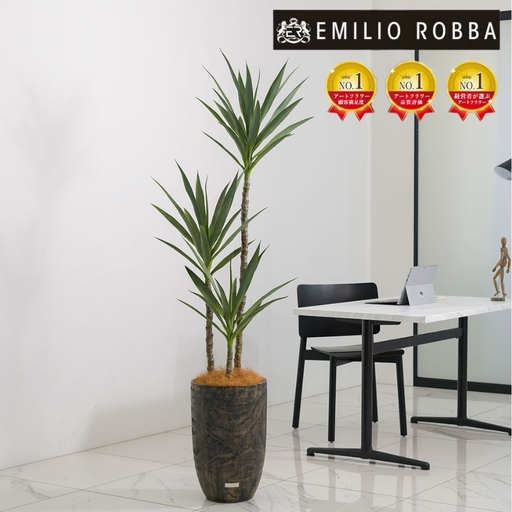 エミリオ・ロバ ユッカラン ユッカ アーティフィシャルグリーン 4L 造花 観葉植物 インテリア