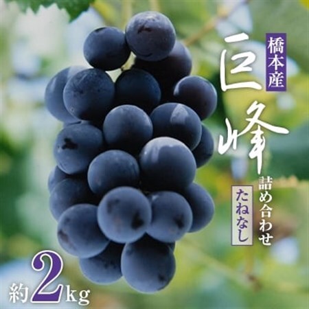 【2027年夏発送】  和歌山県橋本市産(種無し)巨峰 ぶどう詰め合わせ　約2kg【配送不可地域：離島】【1135025】
