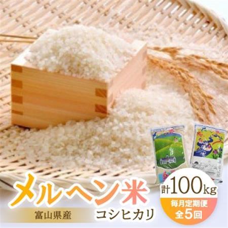 【毎月定期便】富山県メルヘン米コシヒカリ計100kg(20kg×5回)全5回【4013234】