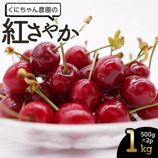 【令和9年産】 さくらんぼ 紅さやか バラ詰め 1kg（500g×2パック） 山形県鶴岡産 くにちゃん農園 K-956 