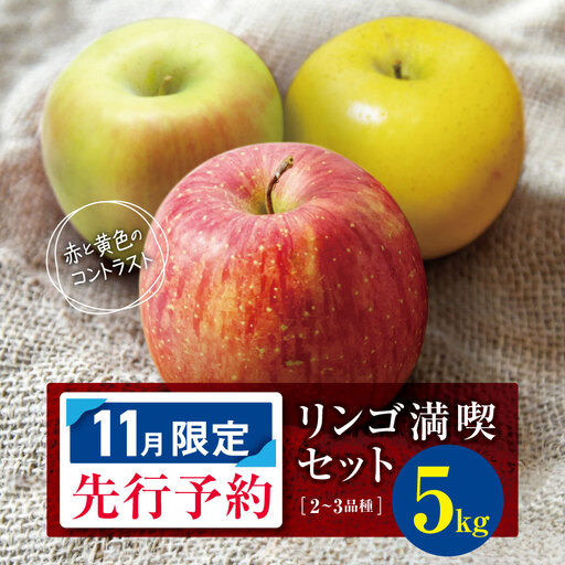 [2026年11月限定 先行予約] 訳あり リンゴ満喫おまかせセット 約 5kg | ヤマモ農園
