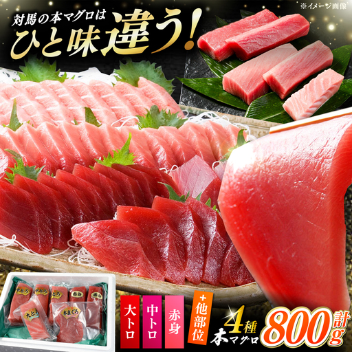 対馬産 生 本マグロ 800g (赤身、中トロ、大トロ) [WAH026] 中トロ 大トロ まぐろ マグロ 鮪