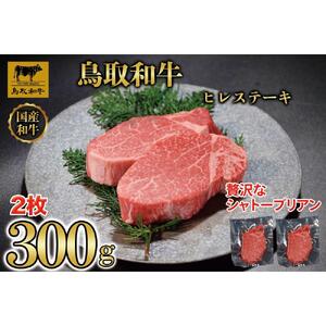 鳥取和牛 ヒレステーキ 2枚 計約300g KT030-002|和牛
