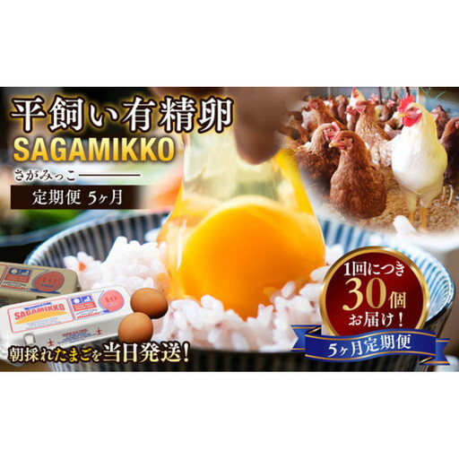 【5ヶ月定期便】 定期便 お楽しみ 毎月届く《かながわブランド認定》 平飼い有精卵 さがみっこ 30個（10個×3パック）×5ヶ月　※離島への配送不可　ケージフリー　アニマルウェルフェア  AAランク 健康 ｜たまご