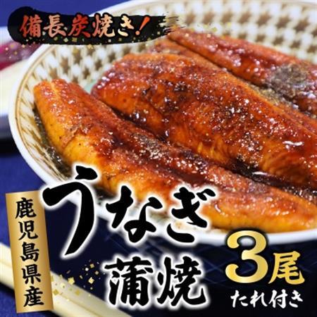 鹿児島県産うなぎ蒲焼3尾 タレ付【配送不可地域：離島】【1185861】