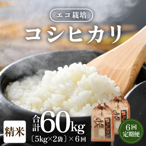 【先行予約】【令和8年産 新米】《定期便6回》【一等米】エコ栽培コシヒカリ 白米10kg（5kg×2袋）計60kg ／ 鮮度抜群 福井県産 こしひかり ご飯 新鮮 白米 ※2026年10月上旬以降順次発送 [aw063-j009]