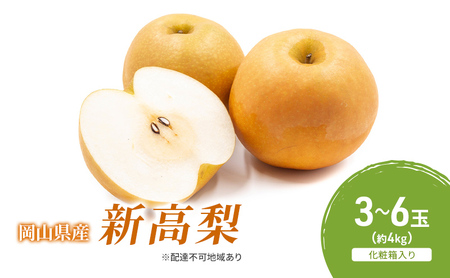 梨 2026年 先行予約 新高梨 3-6玉（約4kg） 化粧箱入り 岡山県産 梨
