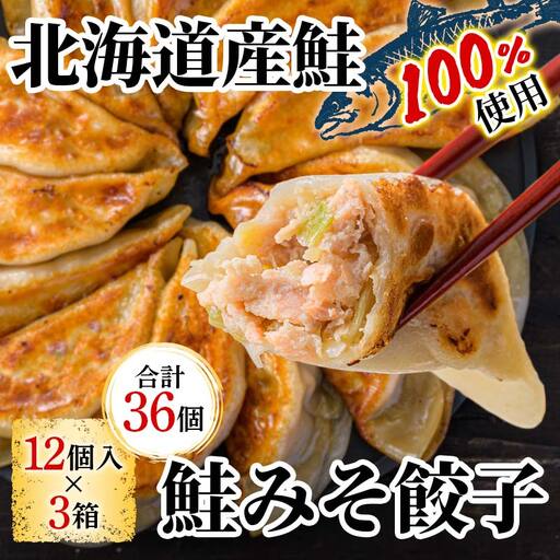 千歳市の高校と天のびろくがコラボ!さけみそ餃子 3箱セット 北海道産 餃子 さけみそ 鮭 味噌 惣菜 冷凍 おかず ごはんのお供 国産 高校コラボ グルメ お取り寄せ ギフト