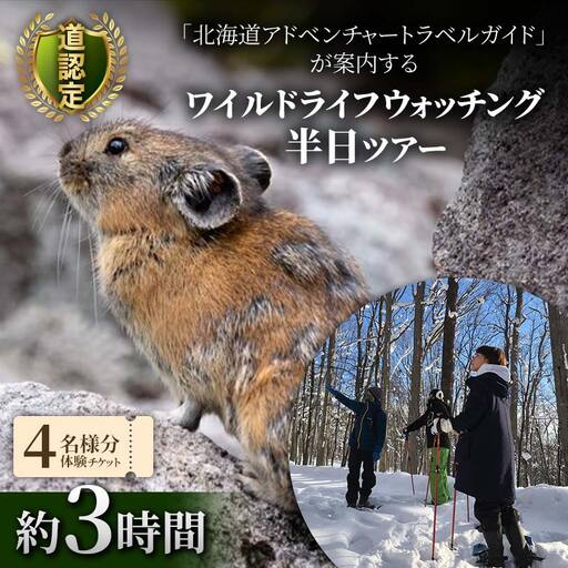 道認定「北海道アドベンチャートラベルガイド」が案内するワイルドライフウォッチング半日ツアー [4名様分体験チケット] 約3時間