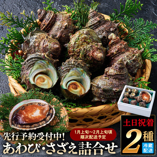 [土日祝着][1月上旬〜2月上旬頃順次配送]あわび・さざえ詰合せ(2種) [鳥取県 境港市]