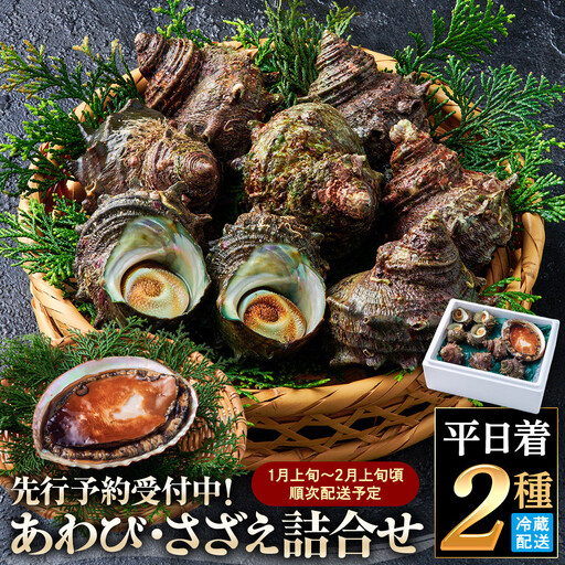 [平日着][1月上旬〜2月上旬頃順次配送]あわび・さざえ詰合せ(2種) [鳥取県 境港市]