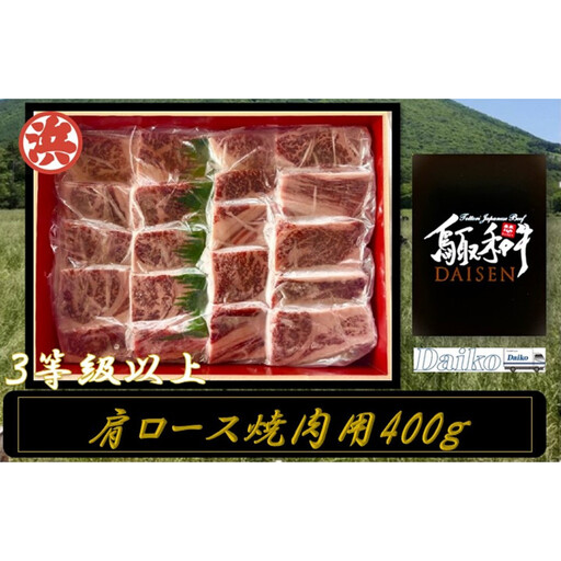 鳥取和牛DAISEN肩ロース焼肉(計400g) 【鳥取県 境港市】