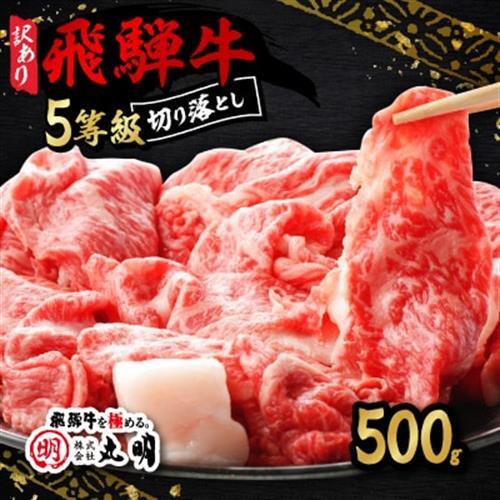 【訳あり】飛騨牛5等級　切り落とし用途いろいろ　500g【配送不可地域：離島】【1034745】