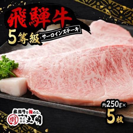 飛騨牛5等級　サーロインステーキ　約250g×5枚【配送不可地域：離島・北海道・沖縄県】【1043511】