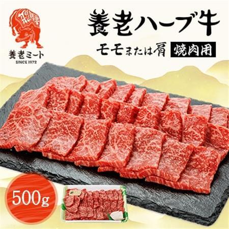 養老ハーブ牛　モモまたは肩　焼肉用　500g【配送不可地域：離島】【1273630】