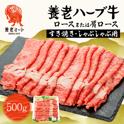 養老ハーブ牛 ロースまたは肩ロース すき焼き・しゃぶしゃぶ両用 500g[配送不可地域:離島]