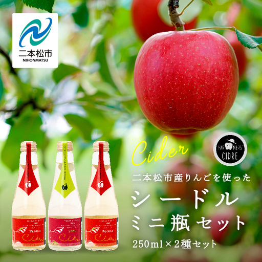 ワイン シードルミニ瓶セット（ふじりんご2本／つがるりんご1本）250ml×3本【ふくしま農家の夢ワイン株式会社】