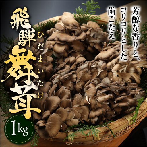 訳あり(簡易包装)飛騨舞茸 1kg 舞茸[60-2]
