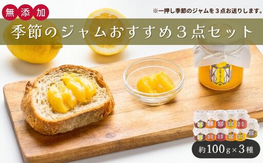 [ジャム] [ 期間限定 / 個数限定 ] イチオシ! 季節のジャム おすすめ 3点 セット (全11種類)