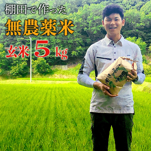 【新米】赤村産棚田米こだわりの夢つくし（玄米）５ｋｇ J1-S