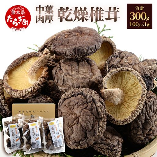 [お中元ギフト] 槻木産 中葉厚肉 乾燥椎茸 計300g (100g×3袋) 026-0573-c