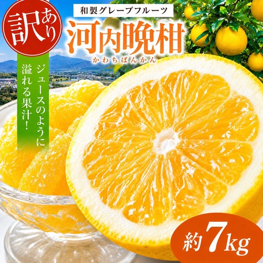 訳あり 河内晩柑 約7kg 後藤農園