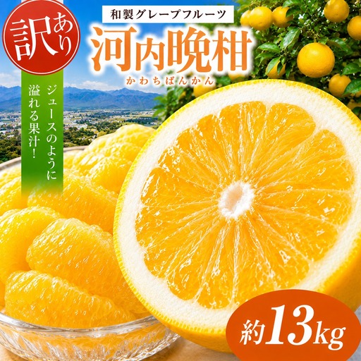 訳あり 河内晩柑 約13kg 後藤農園