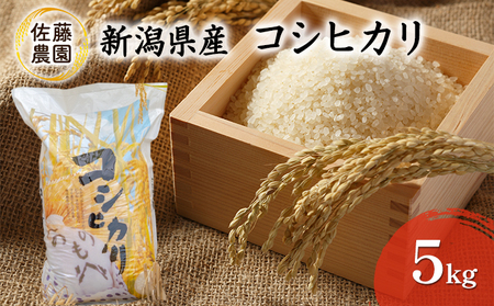 【新米先行予約受付開始】新潟県産　コシヒカリ【佐藤農園】5kg お米 新潟県田上町