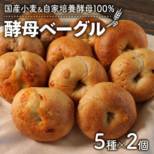 酵母ベーグル 10個セット(5種×2個) 自家培養酵母100％＆国産小麦 京都