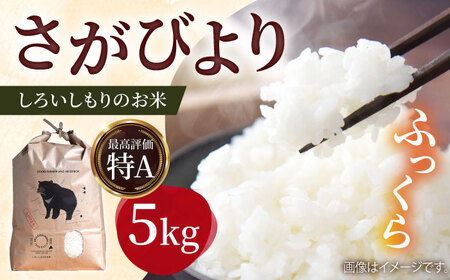 令和7年産さがびより5kg（白米） / 白米 [ICD009]