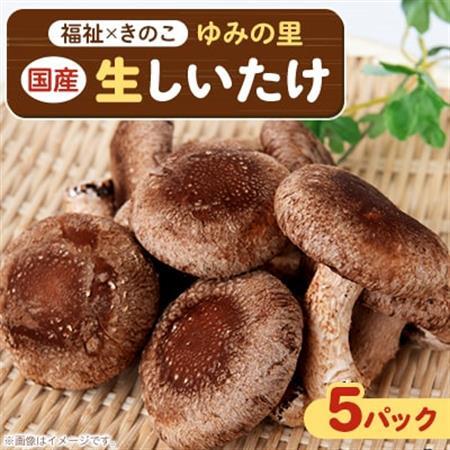 [農福連携]千葉県館山産 生しいたけ110g×5パック 就労継続支援A/B型併用事業所「ゆみの里」[配送不可地域:離島・沖縄県]