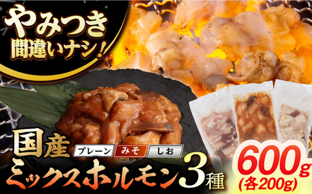 ホルモン3種[EAD102] 国産 長崎和牛 和牛 ホルモン レバー ホルモンミックス 牛肉 ほるもん 冷凍 小分け 真空パック 味噌 塩 プレーン 味付き 味付け 焼肉 焼き肉 おつまみ